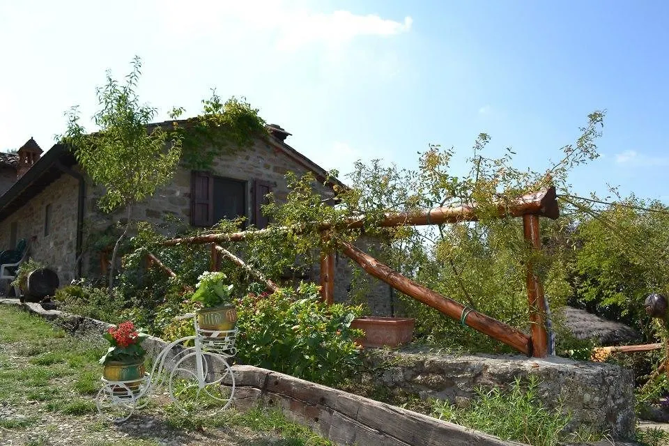 Podere Spinabbio Castiglion Fiorentino Italy